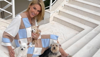 Ana Hickmann mostra o pet shop que montou para os seus cães (Reprodução/ Instagram)